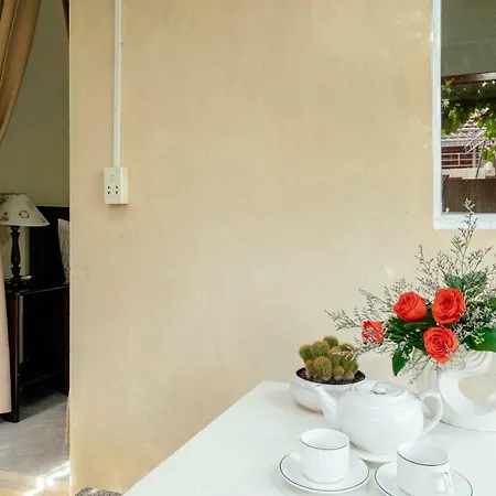 Green Bud Hostel And Homestay Hoi An Exterior photo
